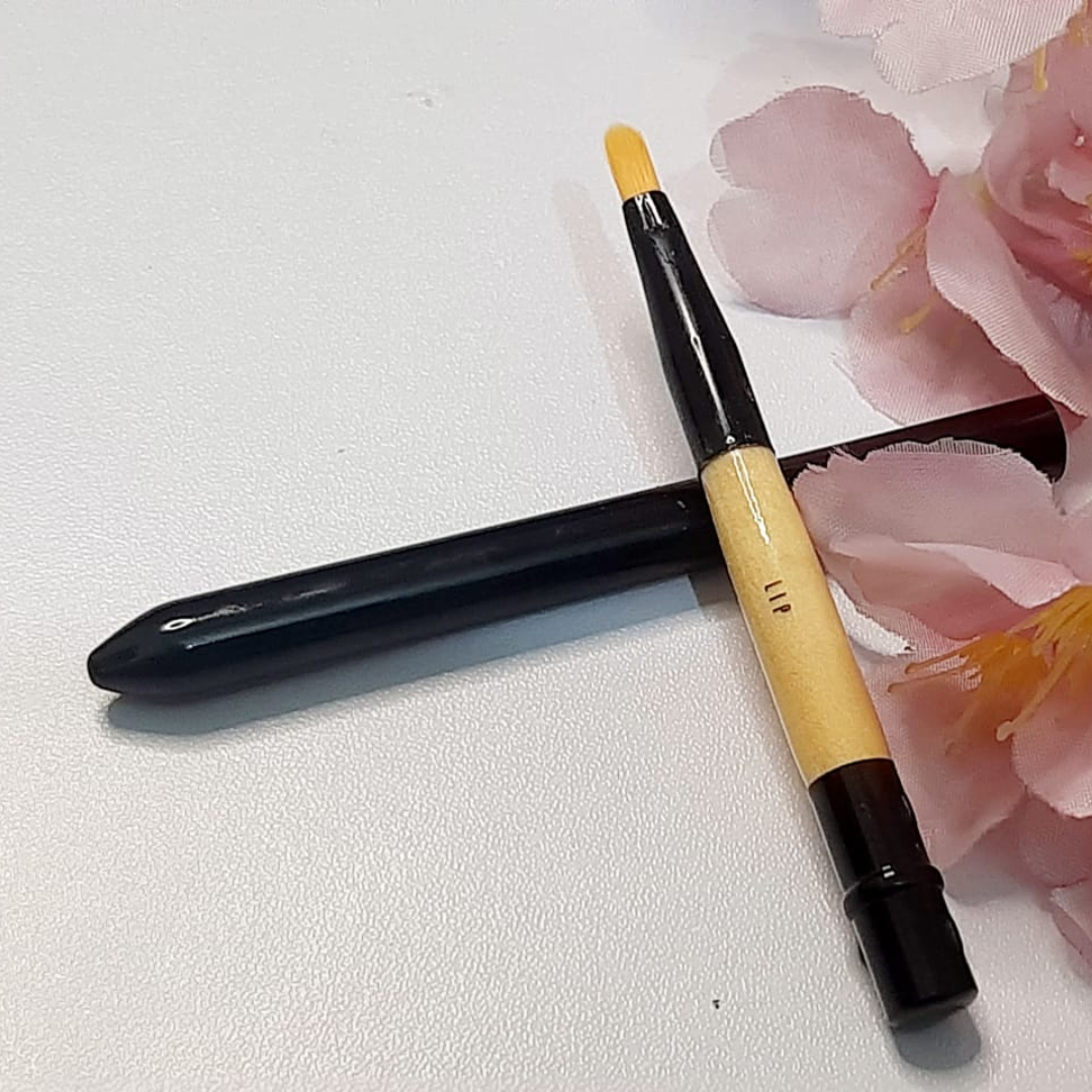 Professional 10 Makeup Brushes Set