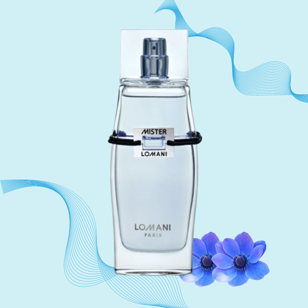 MISTER LOMANI by LOMANI