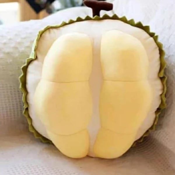 Fruit pillow