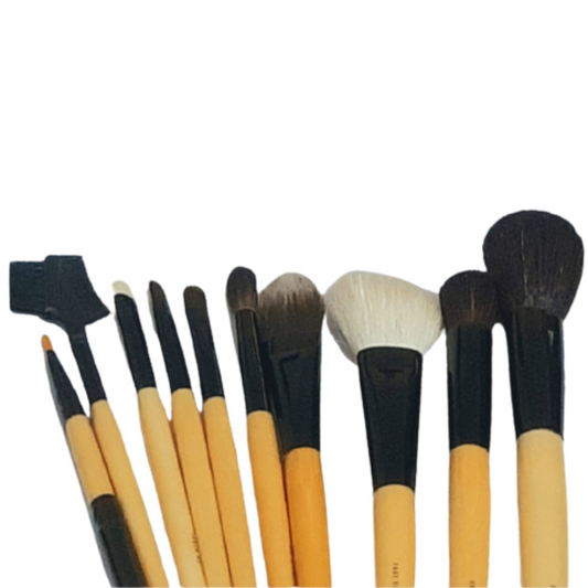 Professional 10 Makeup Brushes