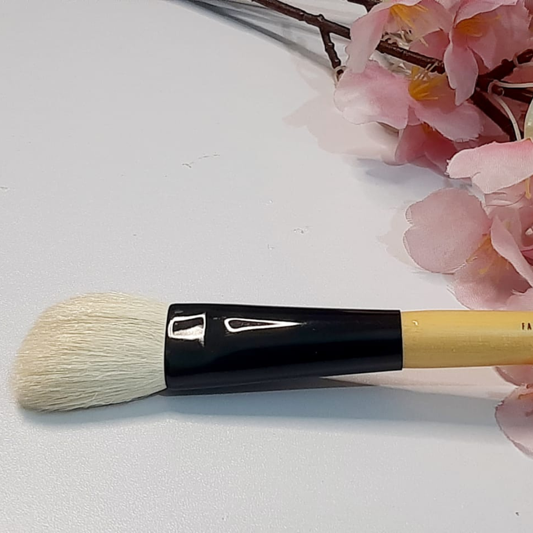 Professional 10 Makeup Brushes Set