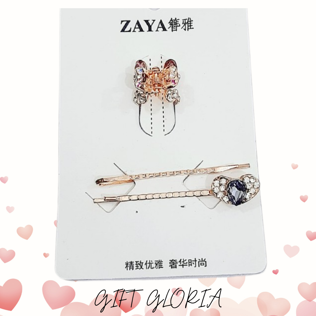 Fancy Hair Pins and Catcher Set